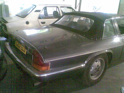 1 (7)_opt.jpg