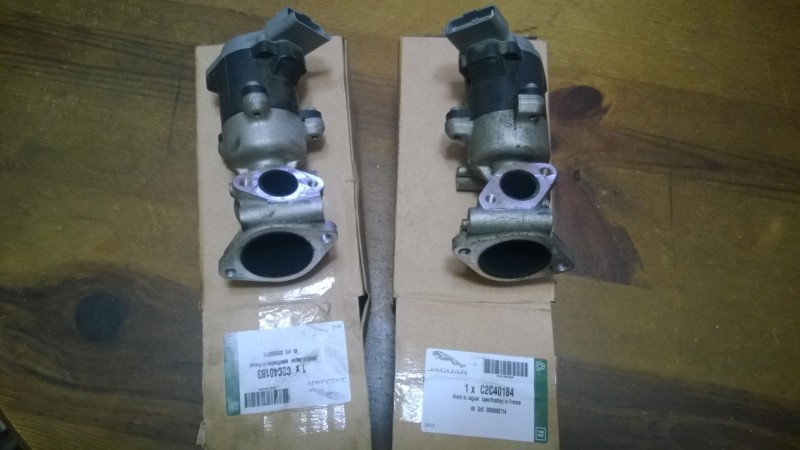 EGR_JAGUAR_27DV6.jpg