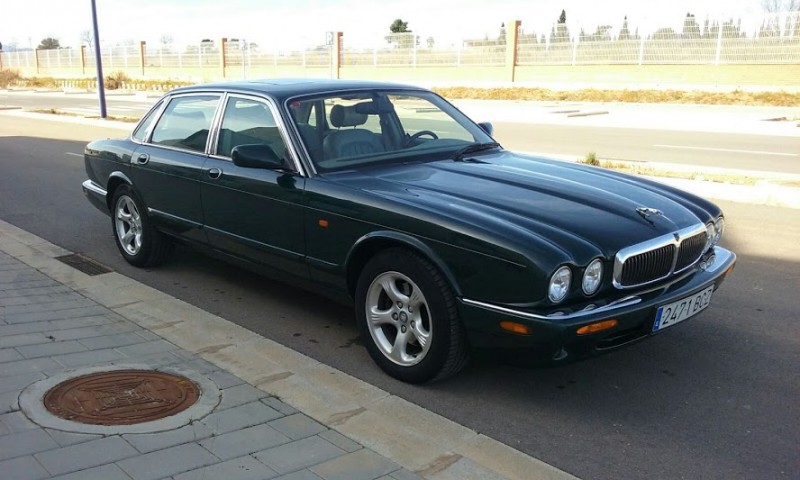 jaguar5.jpg