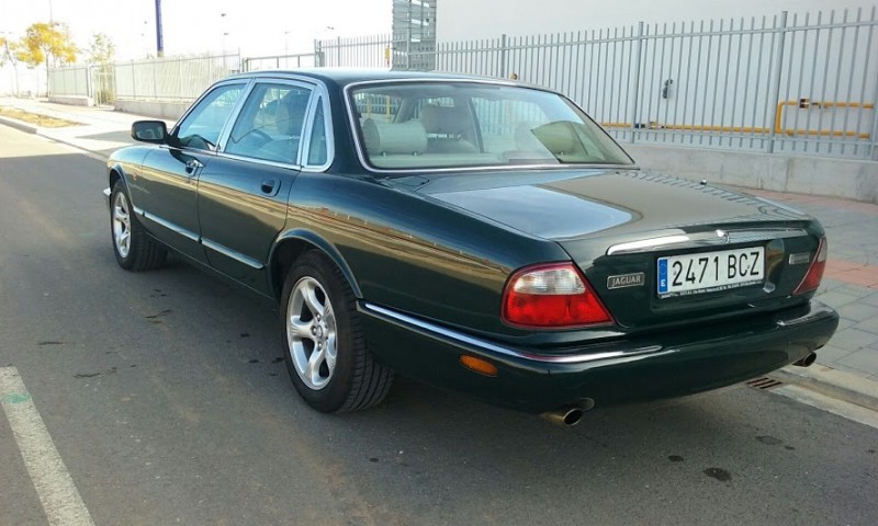 jaguar7.jpg