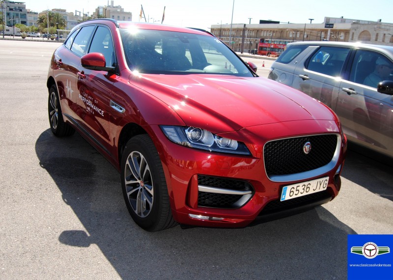 DSC_1383.jpg (1.25 MiB) Visto 107237 veces DSC_1383.jpg